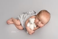 Image 1 of Bear, Newborn Prop, bear prop, newborn prop