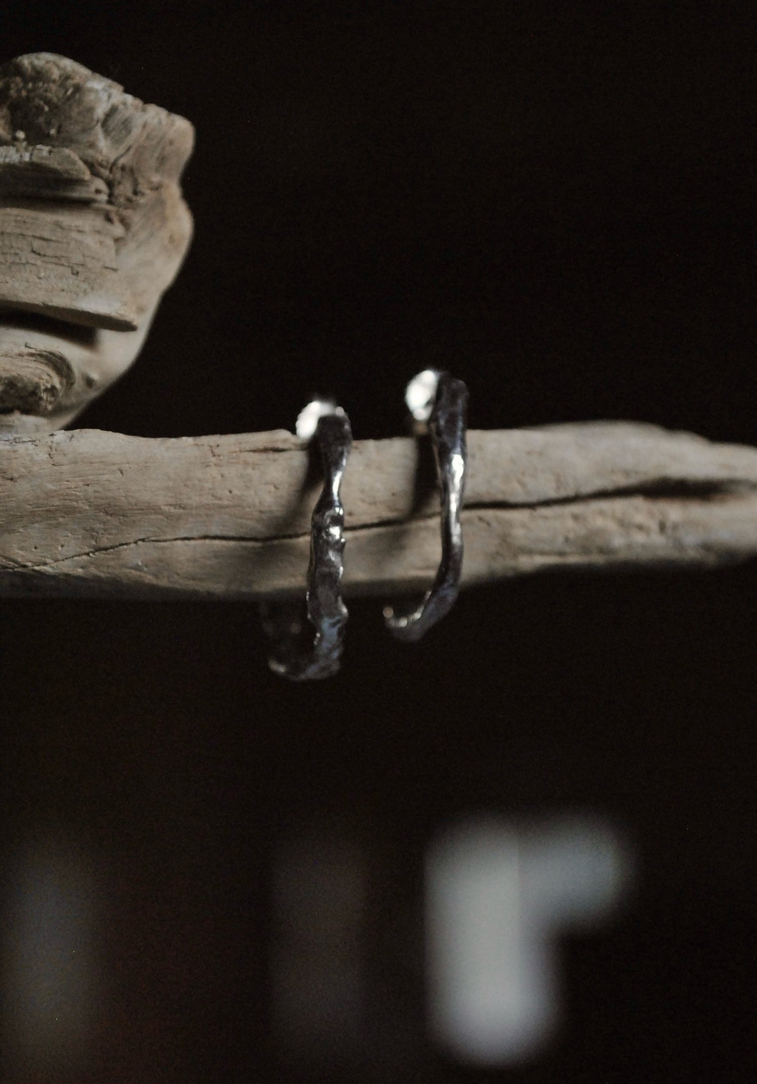 Image of Orecchini “rami”