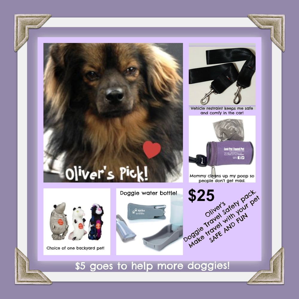 Image of Oliver's Travel Pack!