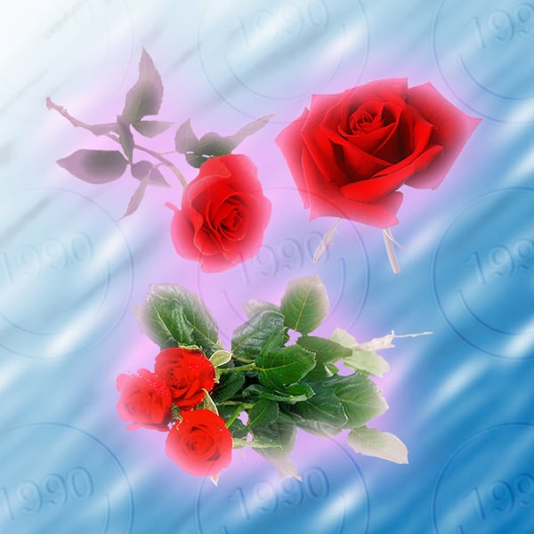 Image of Lovely Rosey Sticker