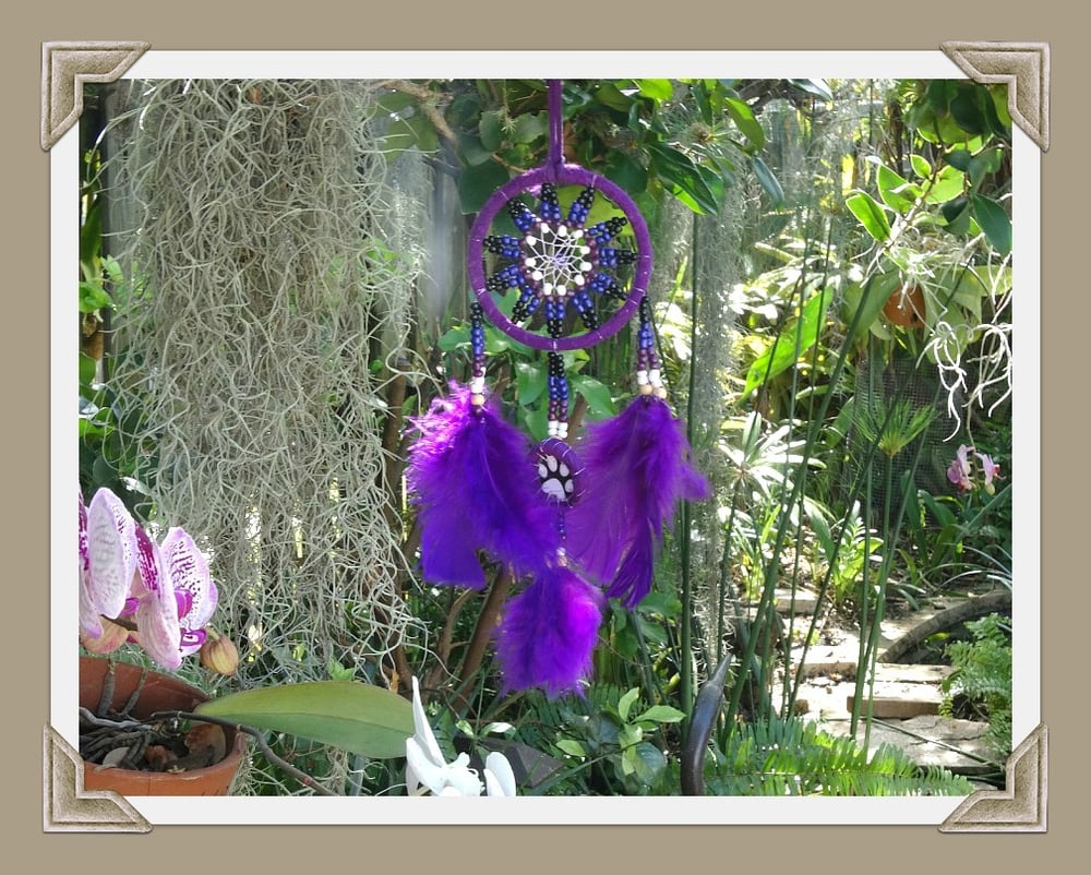 Image of Dream Catcher