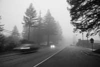 Image of Misty Morning Fog