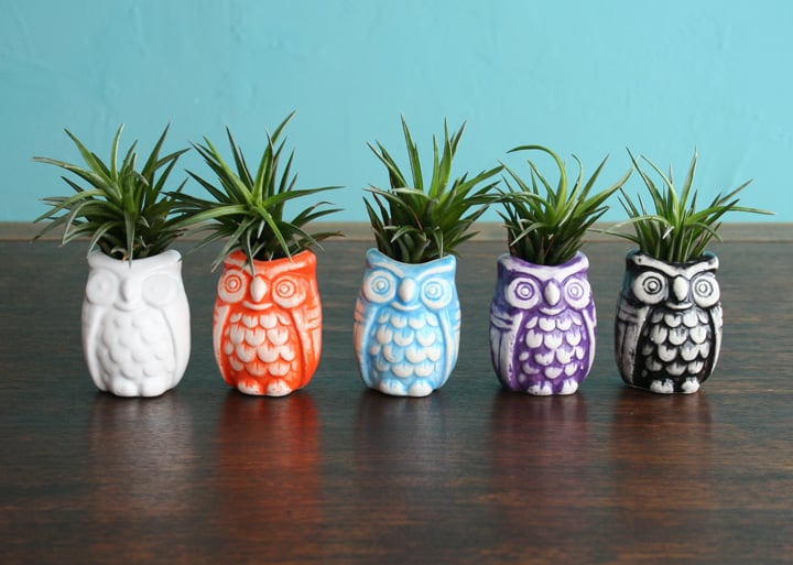 Image of Owl Bud Vase