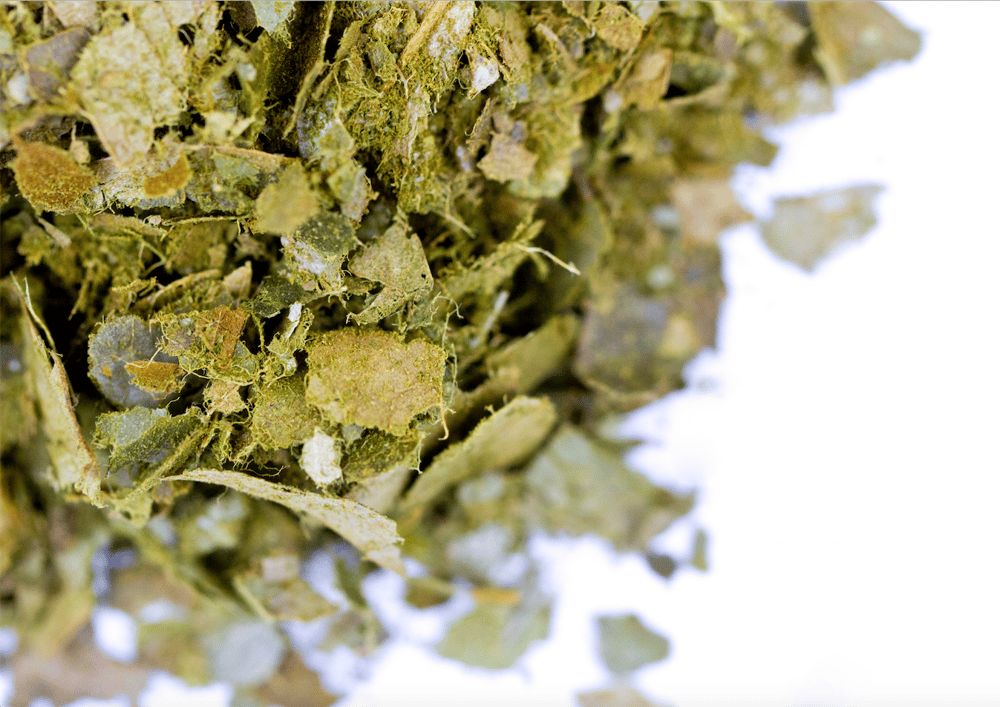 Image of 100% Organic Soursop / Graviola Loose Leaf Tea 70g