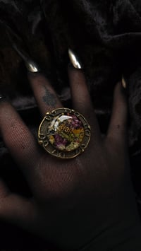 Image 2 of Ladybird and flora big brass ring 