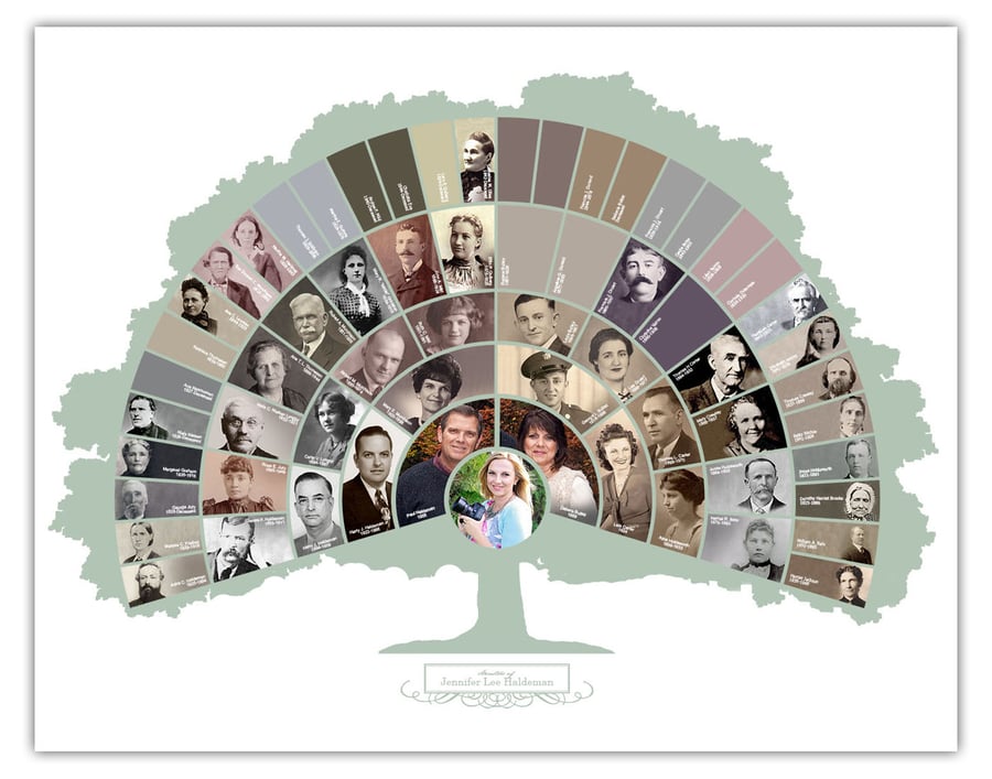 Image of Fan Chart - 6 Generations (Tree)