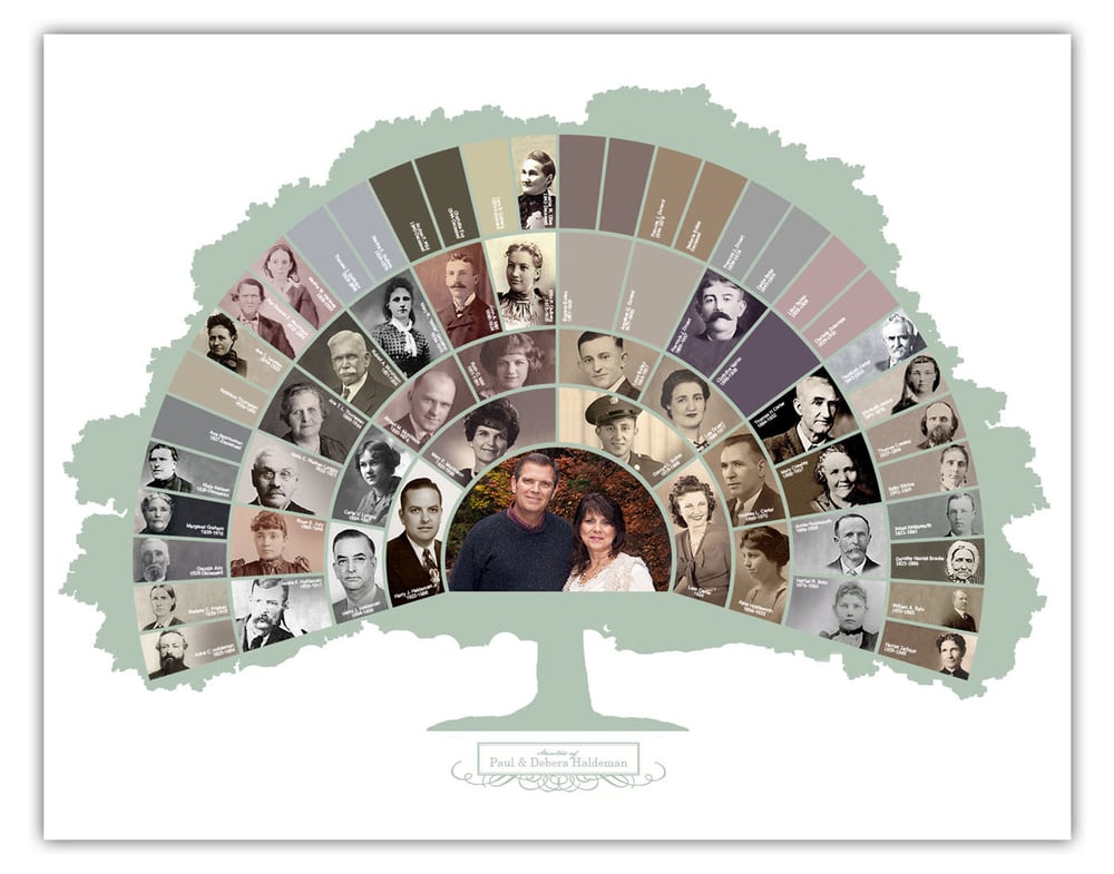 Image of Fan Chart - 5 Generations (Tree)