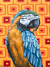 Macaw Original Painting