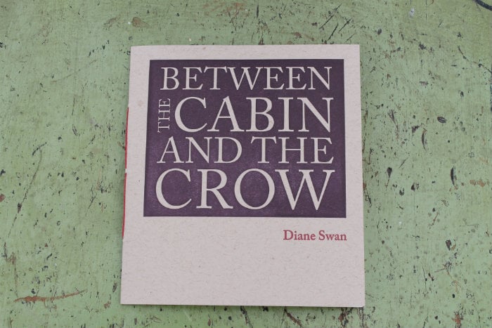 Image of Between the Cabin and the Crow