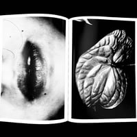Image 19 of Nobuyoshi Araki: The Iota of Life and Death by Shunji Ito