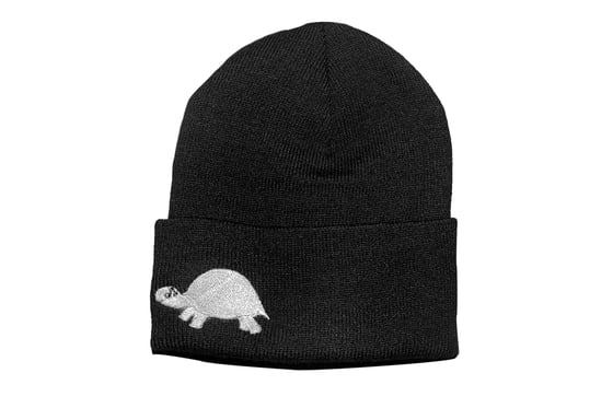 Image of Turtle Beanie