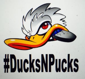 Image of #DucksNPucks Vinyl Car Decal