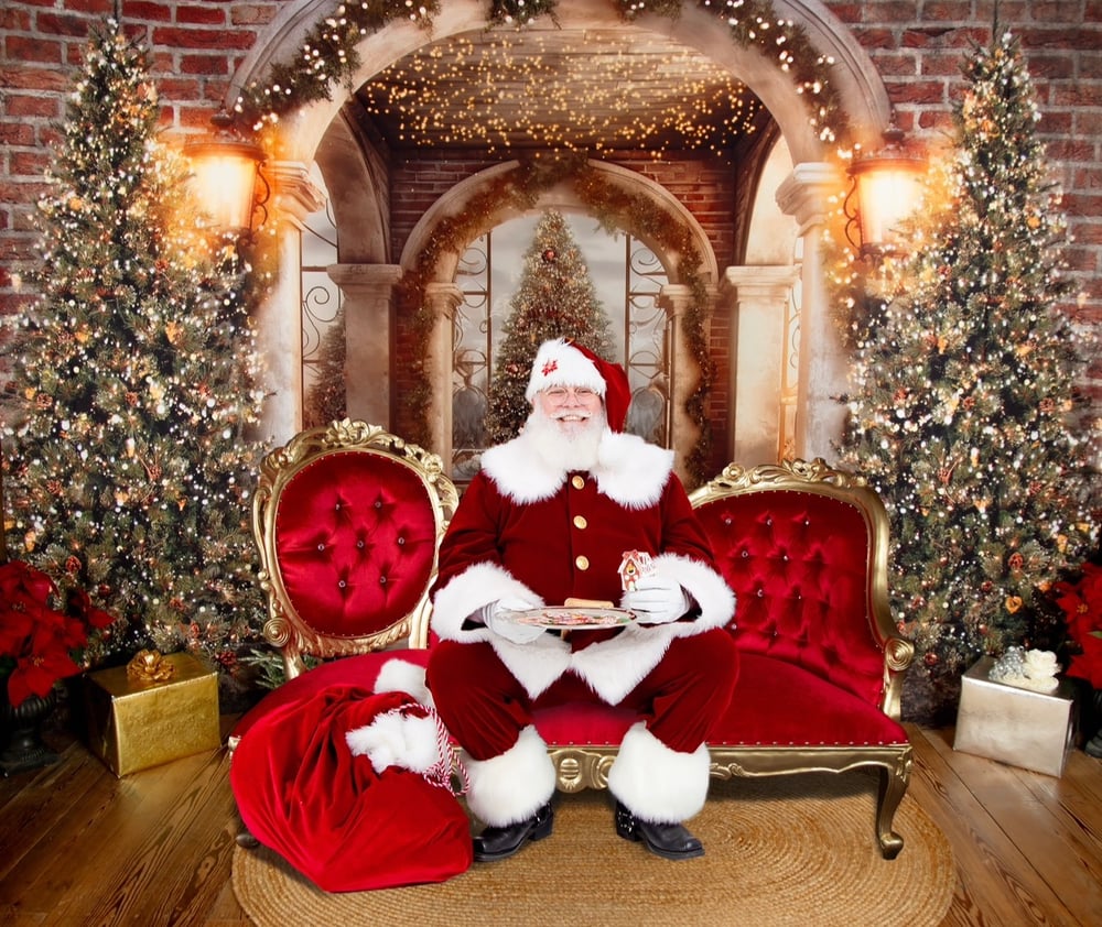 Image of Pine Entryway Manor with Santa