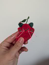 Image 2 of Micro mini cherry kitten