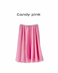 Image 5 of Chiffon Rehearsal Circle Skirt 1