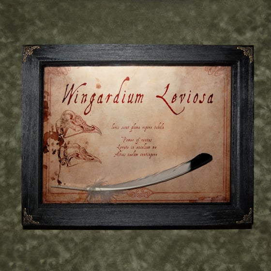 Image of Leviosa Shadow Box 