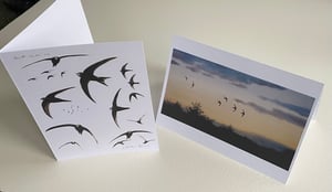 Image of Swift cards- pack of 4