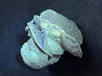 Image 4 of Peru Desert Rose UV Specimen #2416