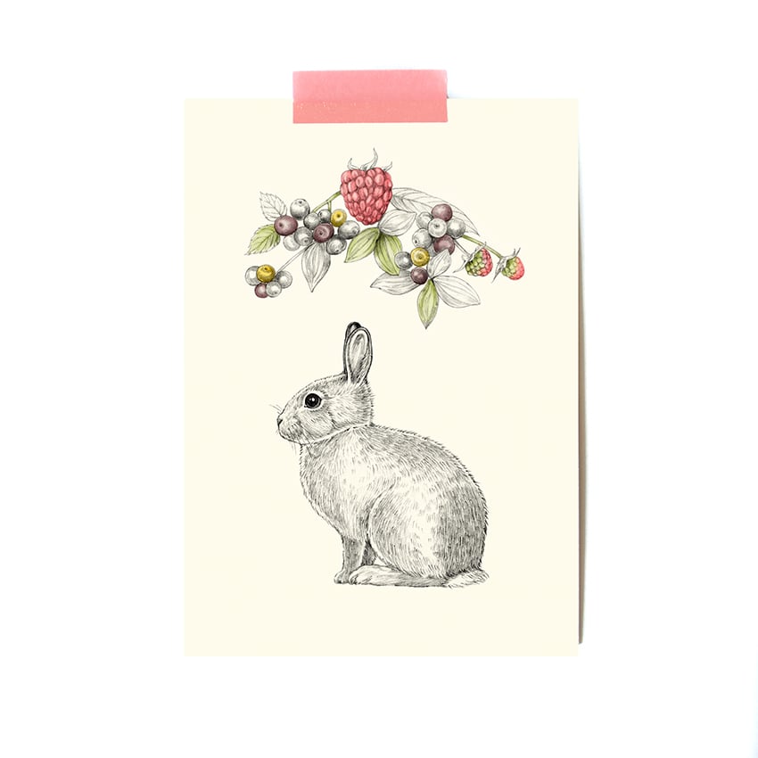 Image of Carte postale simple Lapin-fruits