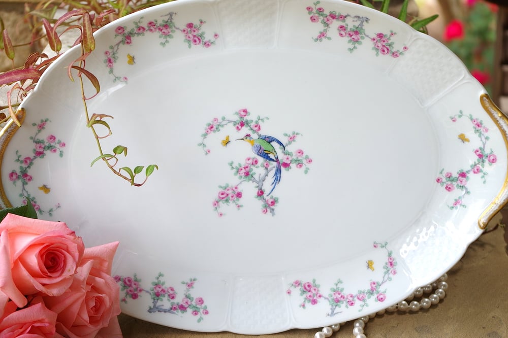 Image of Platter du Oiseau