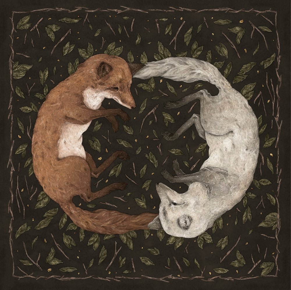 Image of Foxes Print