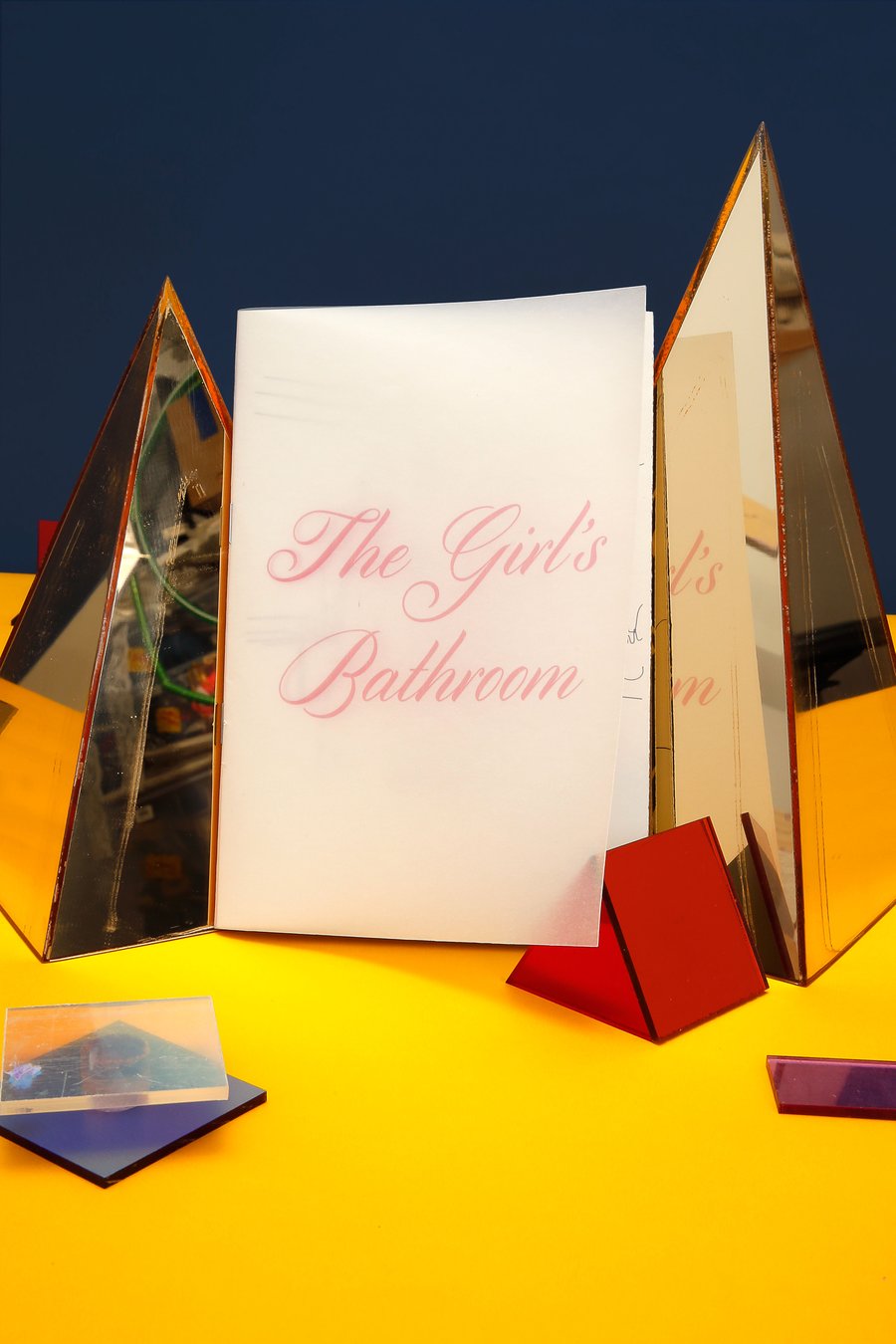 Image of The Girl's Bathroom