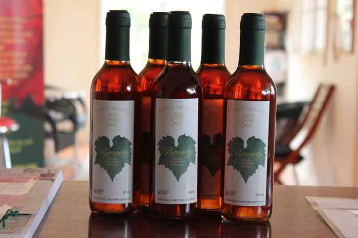 Image of Organic Brandy - 750 mL - Harris Organic