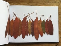 Image 2 of Leaf Stitching - book