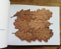 Image 3 of Leaf Stitching - book