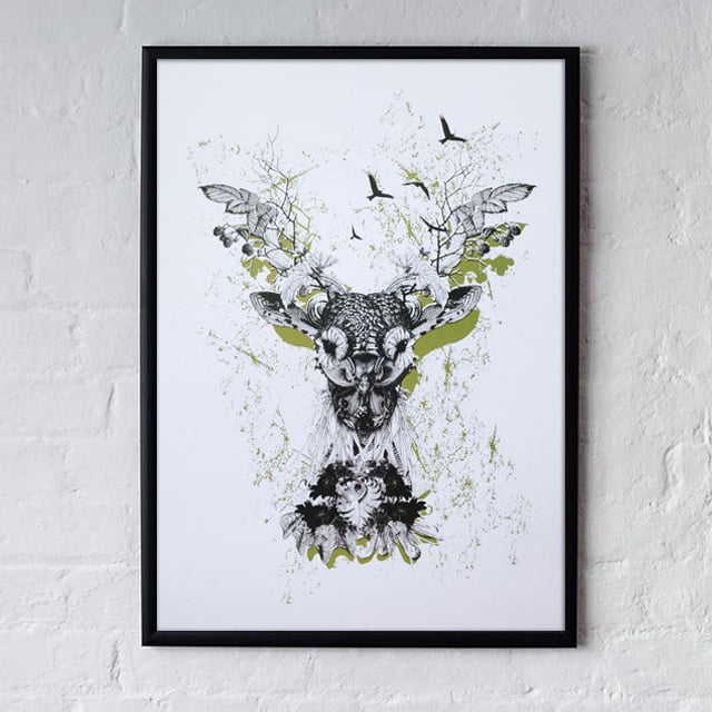 Image of Stag