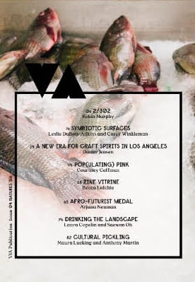 Image of VIA Publication ISSUE 04