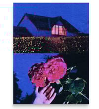 Image 1 of PICK ROSES AT NIGHT 