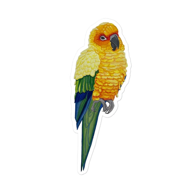 5 Inch Sun Conure Sticker