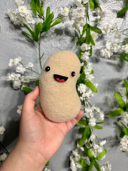 Image of Pinto Bean
