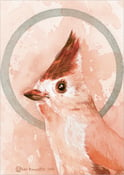 Image of Titmouse postcard