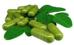 Image of Moringa Capsules