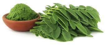 Image of Moringa Powder