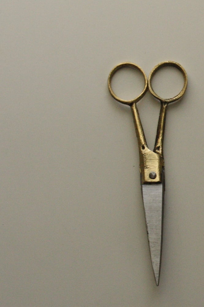 Image of Brass & Steel Scissors