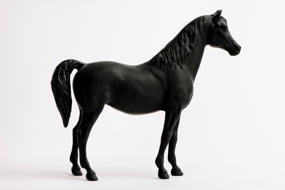 Image of HORSE*