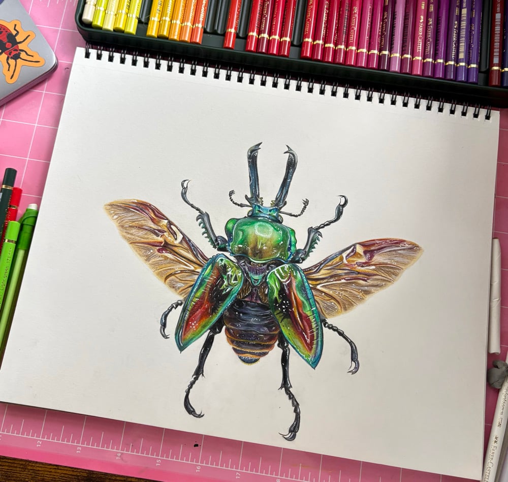 Image of Rainbow Stag Beetle