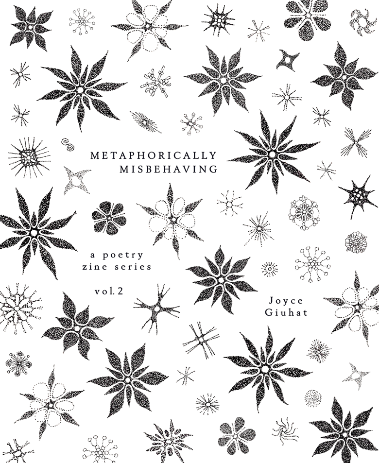 Image of PRE-ORDER for "Metaphorically Misbehaving" by Joyce Giuhat