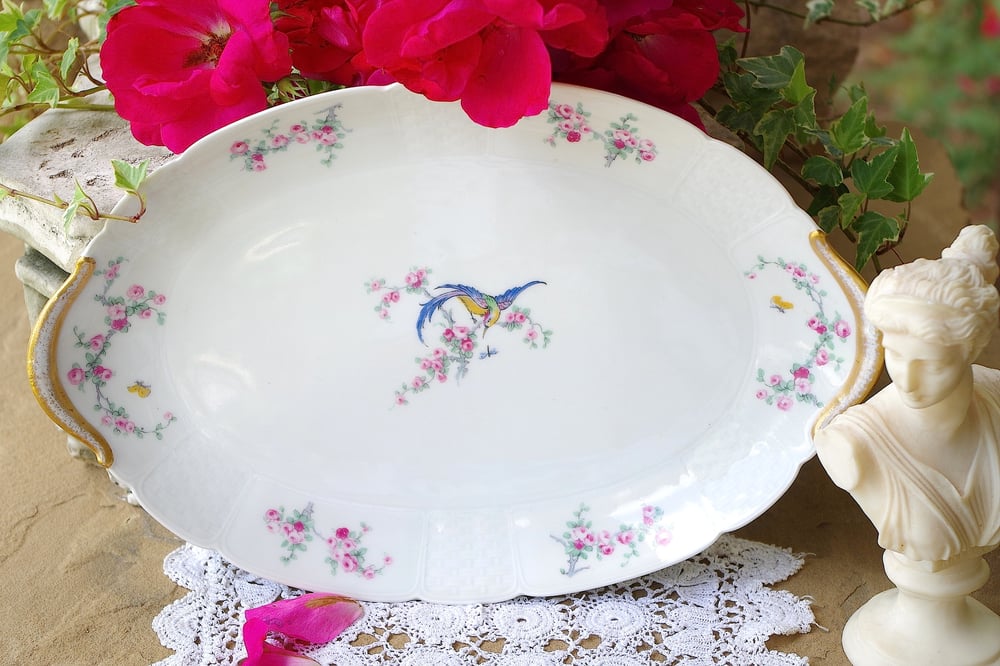 Image of oiseau limoges