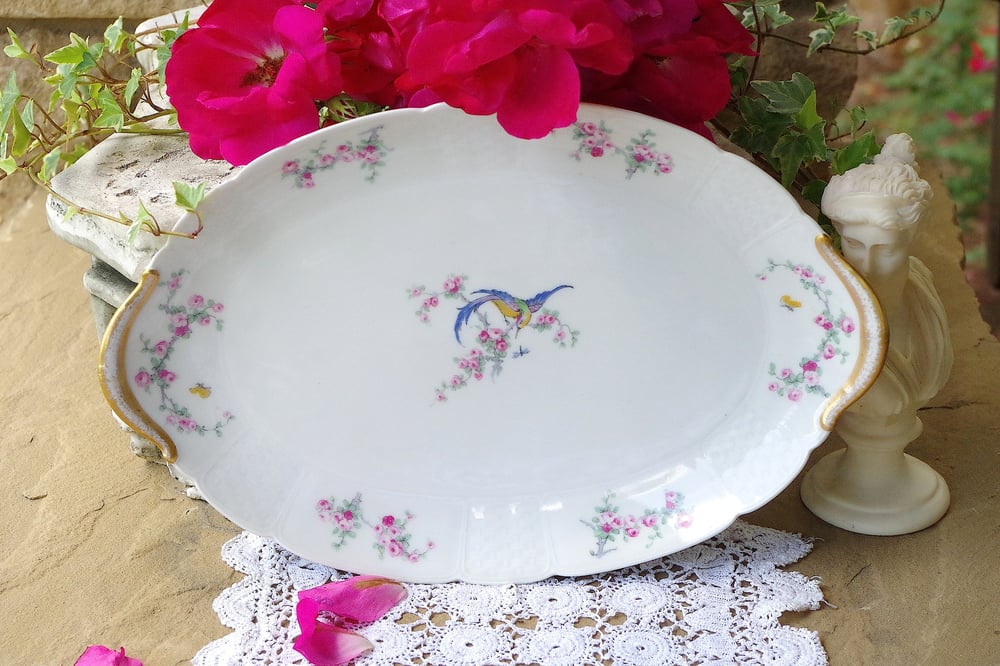 Image of oiseau limoges