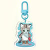 Sad Cat Keychain