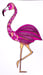 Image of Flamingo