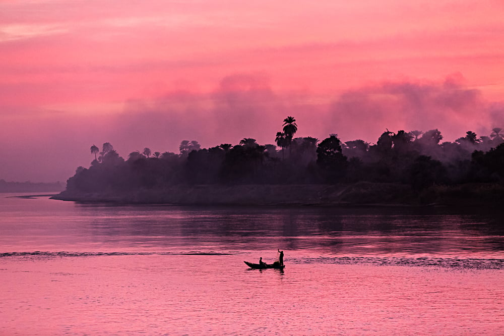 Image of The Pink Afternoon