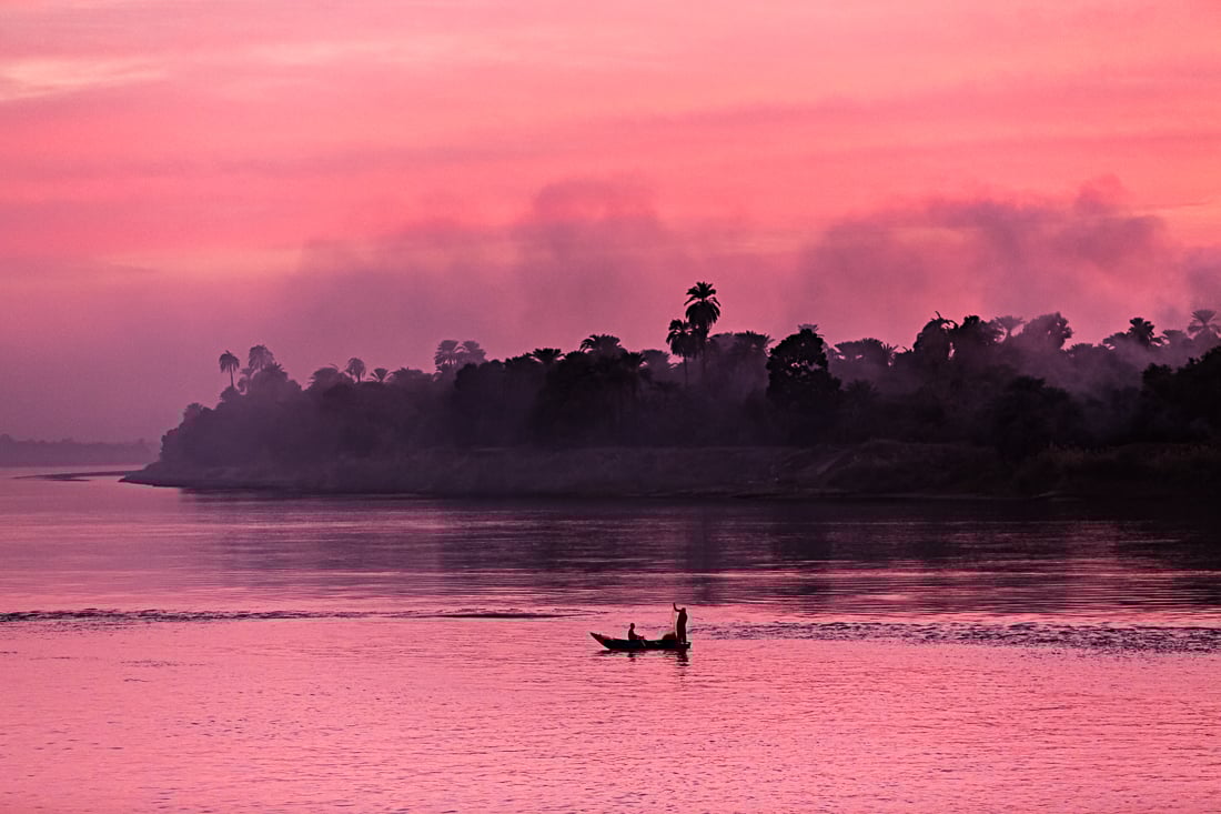 Image of The Pink Afternoon