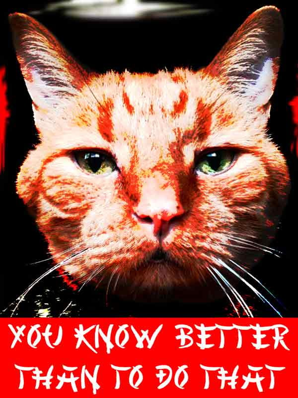 Image of Ming - You Know Better Sticker