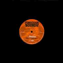 Image of Runaway-Reality SoulJahs 10" Conscious Sounds CS10-015