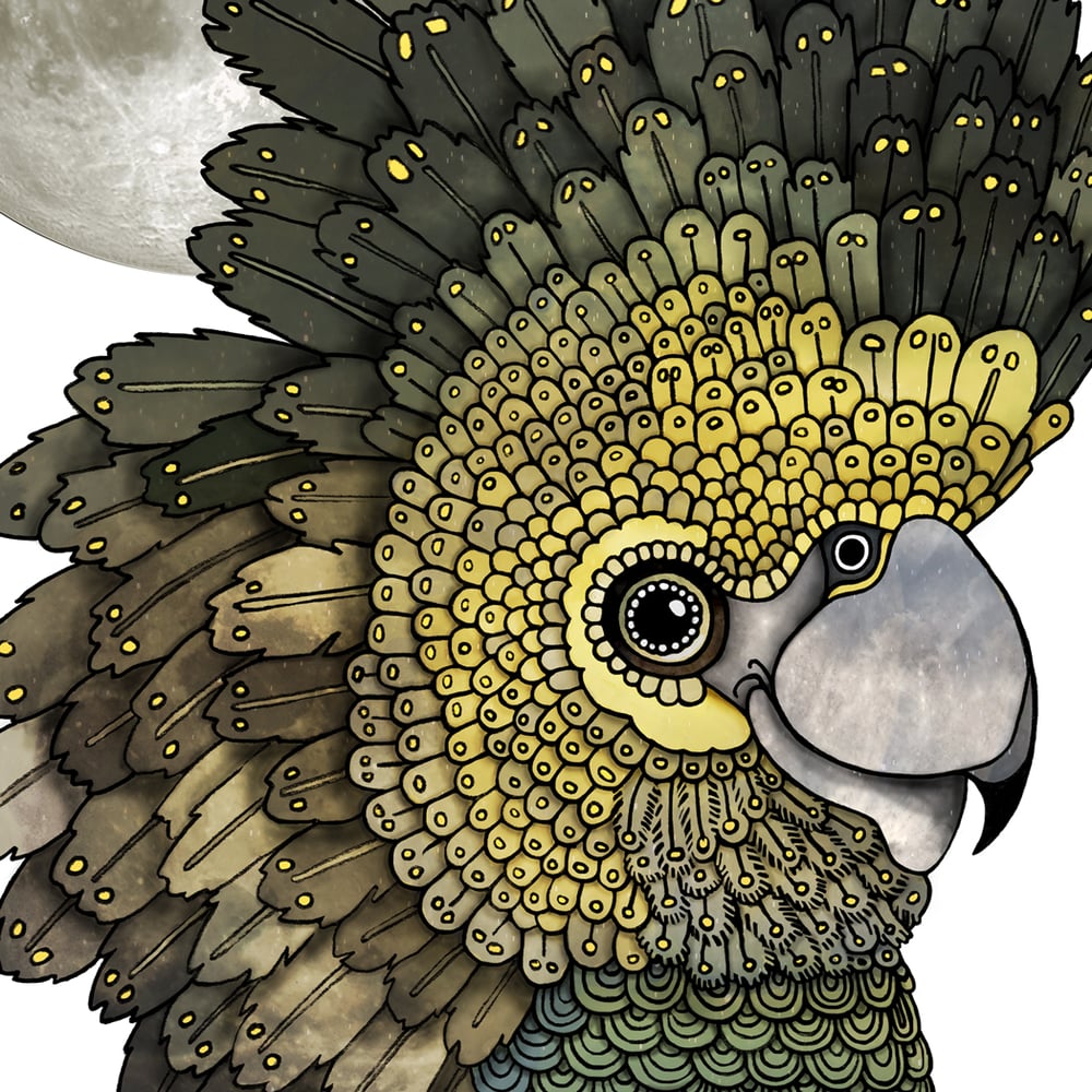 Image of Cockatoo Moon - A4 Giclée art print on HAHNEMUHLE photo rag paper